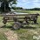 badger-bn103-image-4