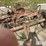 massey-ferguson-7-image-13