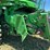 john-deere-s680-image-54