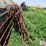 continuous-fence-panels-image-5