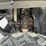 2021-kawasaki-mule-pro-dxt-image-15