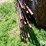 continuous-fence-panels-image-10