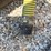 john-deere-1770nt-image-12