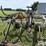 chem-farm-cpx160-chisel-plow-image-20