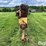 alloway-10"-swing-out-grain-auger-image-13
