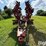 2004-kuhn-krause-4850-21-image-2