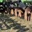 brent-cpc-image-21