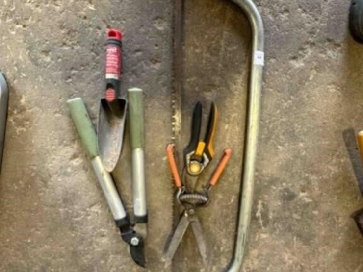 tree-saw,-gardening-tools-image-1