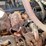2019-kenworth-t880-image-62