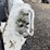 2015-bobcat-t590-image-21