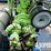 (x)-(9-27)-2012-nov-rolligon-ht-180-hydration-unit...-image-4
