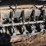 2019-case-ih-lb434xl-image-48