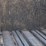 2019-case-ih-lb434xl-image-33