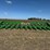 john-deere-612c-image-1