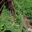 continuous-fence-panels-image-6