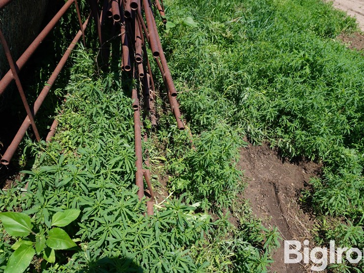 continuous-fence-panels-image-6