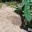 john-deere-135-image-9