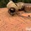 bush-hog-6-image-15
