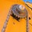 2019-vermeer-504r-premium-image-29
