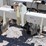 #1004-•-patriot-track-closer-image-7