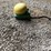 john-deere-starfire-3000-image-4