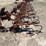 westgo-6r30"-danish-tine-cultivator-image-8