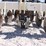 #1004-•-patriot-track-closer-image-8