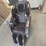#4031-•-onshine-high-end-massage-chair-image-2