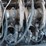 2019-case-ih-lb434xl-image-40