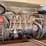 allmand-bros-maxi-lite-image-2