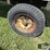 badger-16'-hay-wagon-image-11