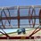 snowco-grain-cleaner-image-6