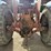 international-966-image-5