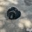 international-1000-image-2