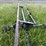 #2037-•-kil-bros-head-cart-image-1