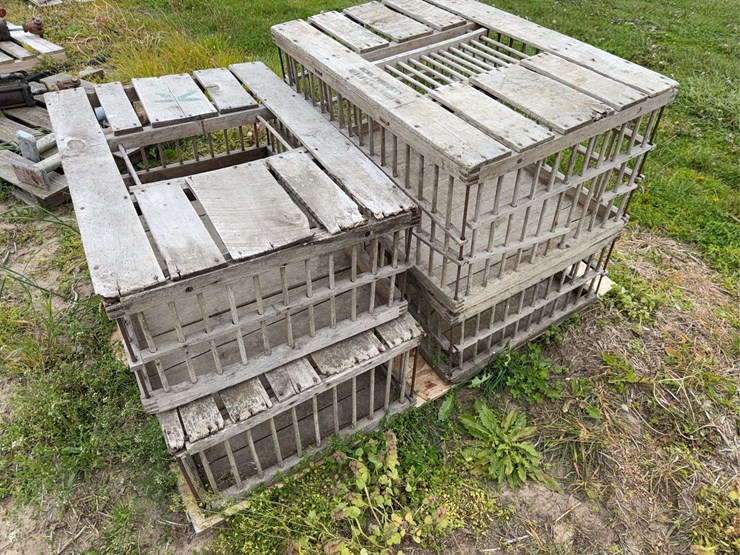 chicken-cages-image-3