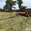 unverferth-rolling-harrow-ll-double-rolling-basket-image-1