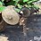 john-deere-7000-image-13