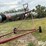 peck-1004-image-20