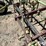 6r30"-cultivator-image-13