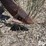 6r30"-cultivator-image-14