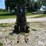 clark-gpx25-image-2