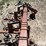 westgo-6r30"-danish-tine-cultivator-image-11