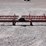 #2006-•-3-bar-spring-tooth-harrow-image-3