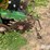 john-deere-1770-image-14
