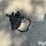 international-1000-image-8