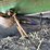 john-deere-612c-image-19