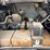 allmand-bros-maxi-lite-ii-image-3
