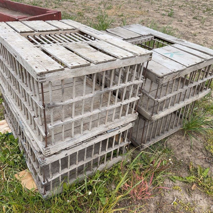 Chicken cages