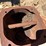 international-roll-bar-rake-image-6